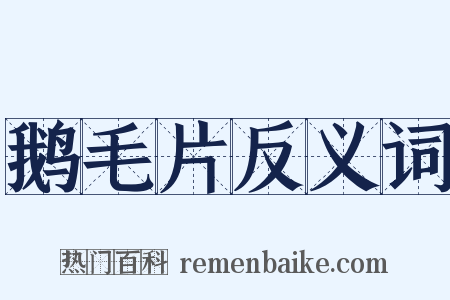鹅毛片反义词是什么意思的图片